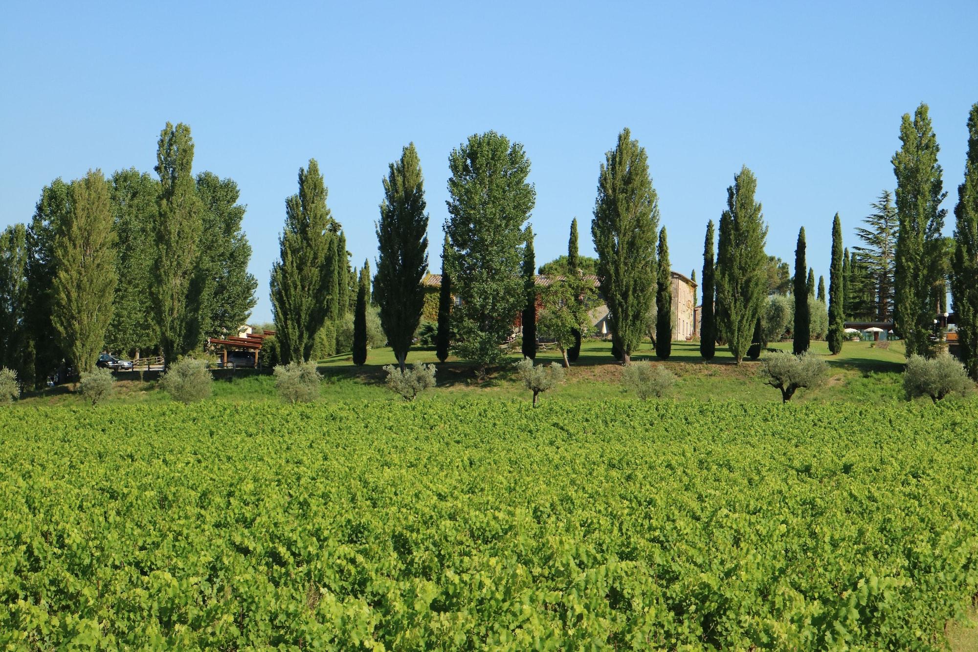 Agriturismo La Sovana Sarteano Eksteriør bilde