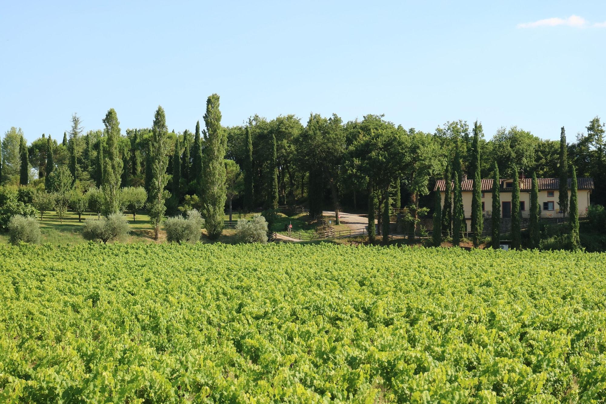 Agriturismo La Sovana Sarteano Eksteriør bilde