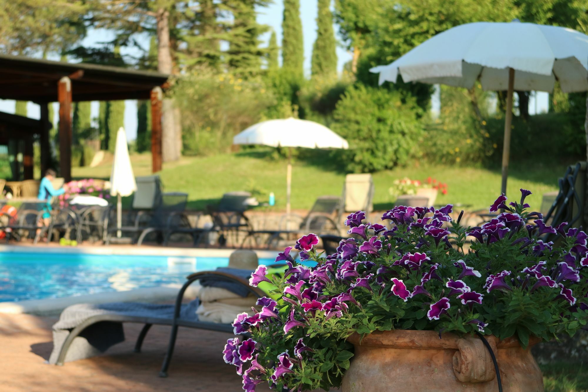 Agriturismo La Sovana Sarteano Eksteriør bilde