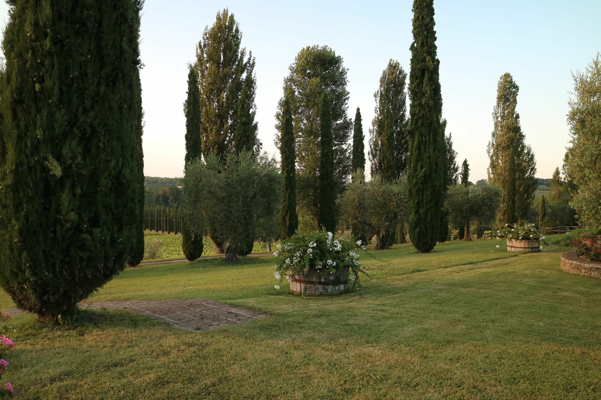 Agriturismo La Sovana Sarteano Eksteriør bilde